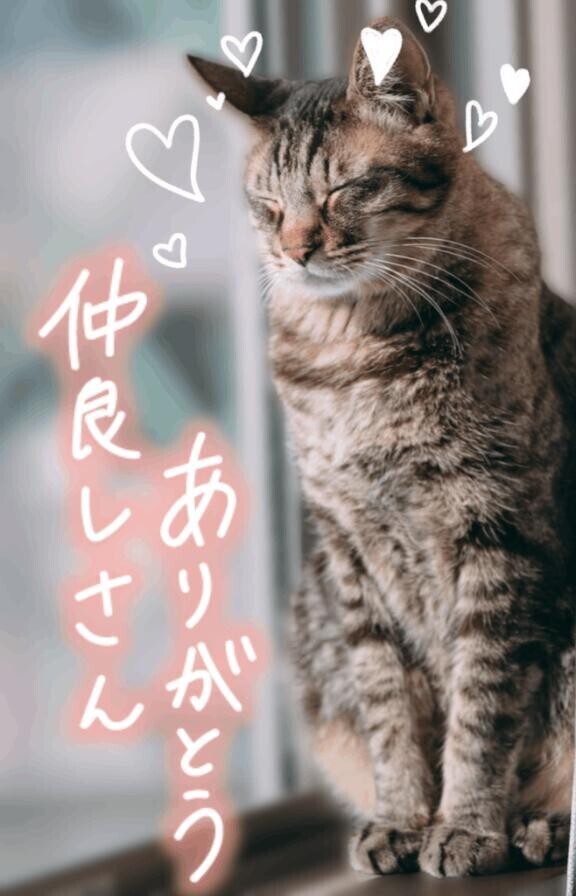 お早めの事前ご予約♪