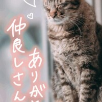和泉かりな