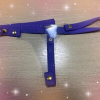 エヴァカラーのハーネス♪