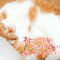 仲良し様ー！