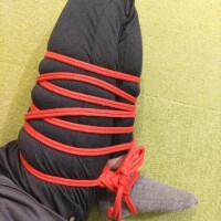 行って来た?