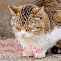 今夜も☆