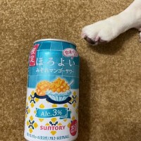 頂きました