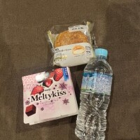 体液まみれにお持ち帰り