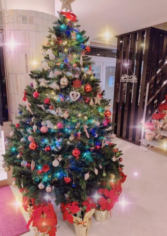 お部屋も綺麗でした??