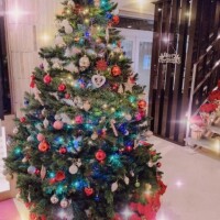 お部屋も綺麗でした??