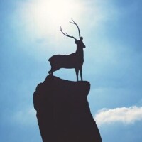 やって参りました。