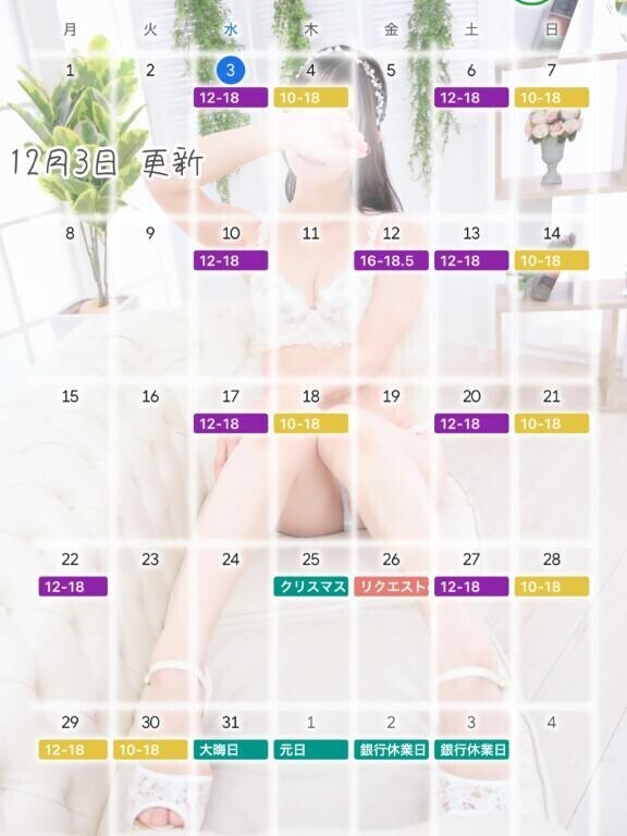 12月の予定(再掲)