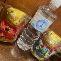 ラップで拘束するクマ?