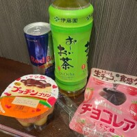 こんな格好でペットに