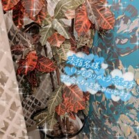 I様ありがとう??