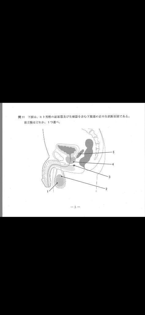 国家試験に出ました