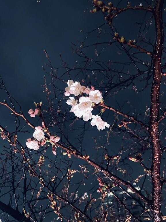 本日出勤します♪♪