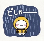 本日店休日