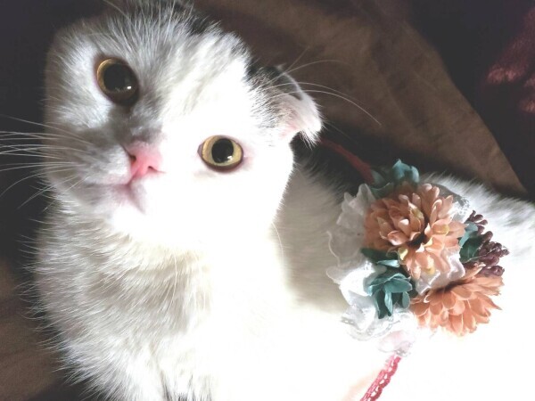 明日から♡
