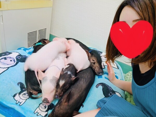 お久しぶりです～💕