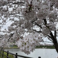 えみです❤︎4月10日❤︎