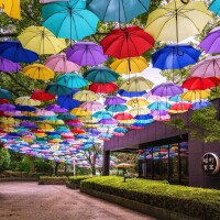 芦川【あしかわ】