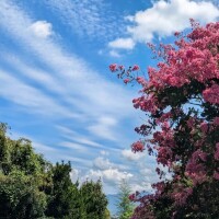 芦川【あしかわ】