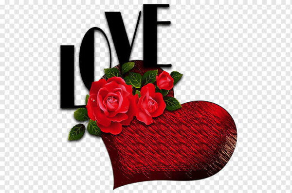 こんばんは🍁˚✧₊⁎❝᷀ົཽ≀ˍ̮ ❝᷀ົཽ⁎⁺˳✧༚