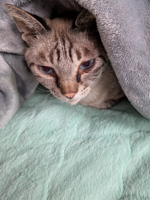 あかーん！！！