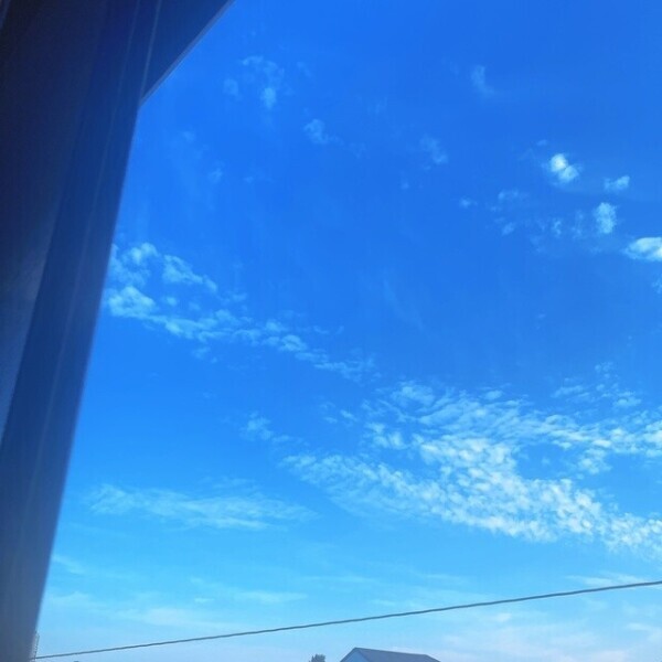 おはようございます☀️｡°