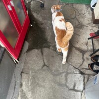 本日満枠完売?