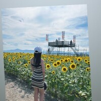 8月のお知らせ????