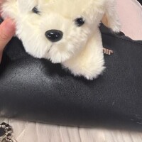末吉