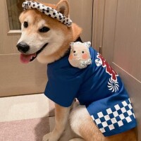 暑い！