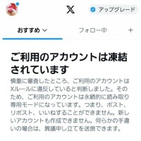 【X】また凍結したァ…???