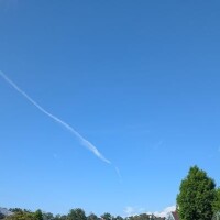 こんにちは?