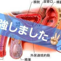 あいな