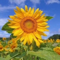 夏の終わり？