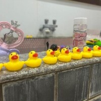 8月ありがとう(`θ`)?