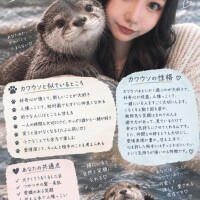 お久しぶりです?