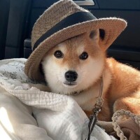 雨大丈夫？