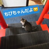 【??】明日昼?ヘッドスパ講習?