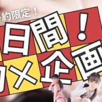 4月12~14日限定????????