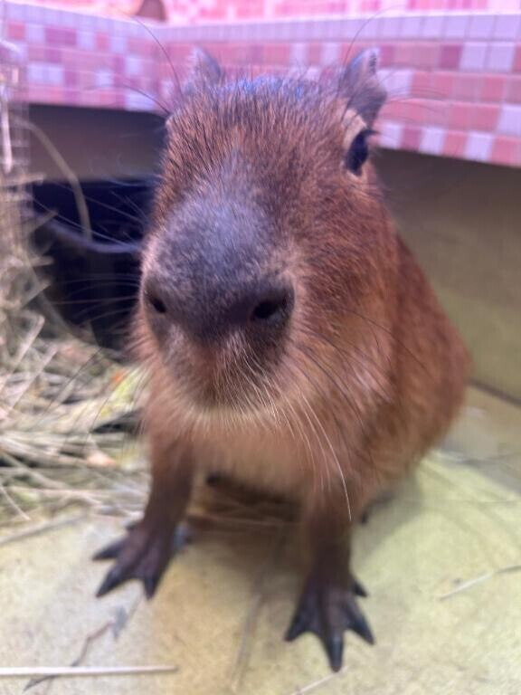 日程変更してます??♀?