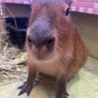 日程変更してます??♀?