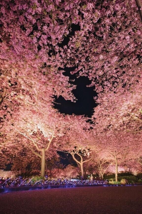 おはよう