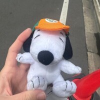 これさっきの話??
