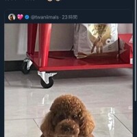 千葉鎌倉御殿で騎?位?ふう