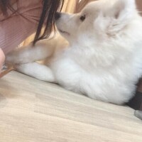 ?本日だけおやすみいただきました、、??