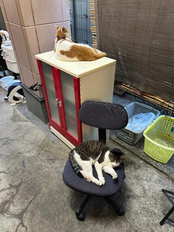 明日もよろしくね。