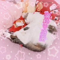 ねねこ