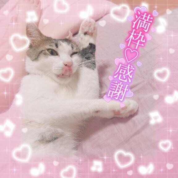 連日?感謝??