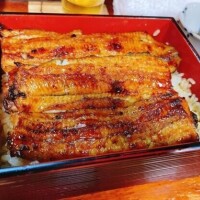 ひかる