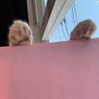 今日、すみません。。